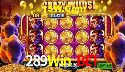 A Emoção da Loteria na 289Win Bet: Uma Chance de Mudança de Vida